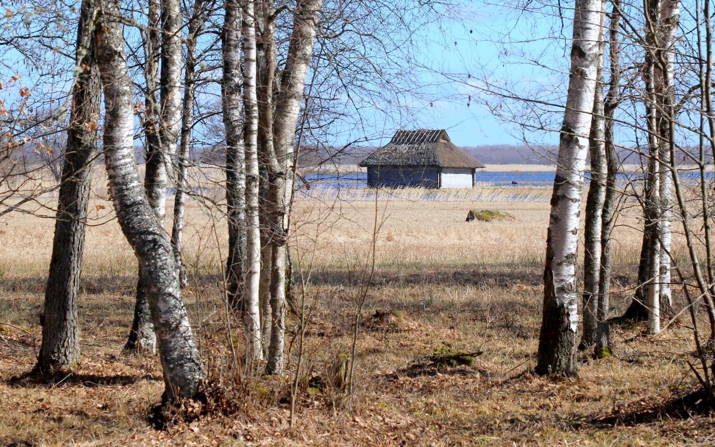 Иллюстративная фотография.