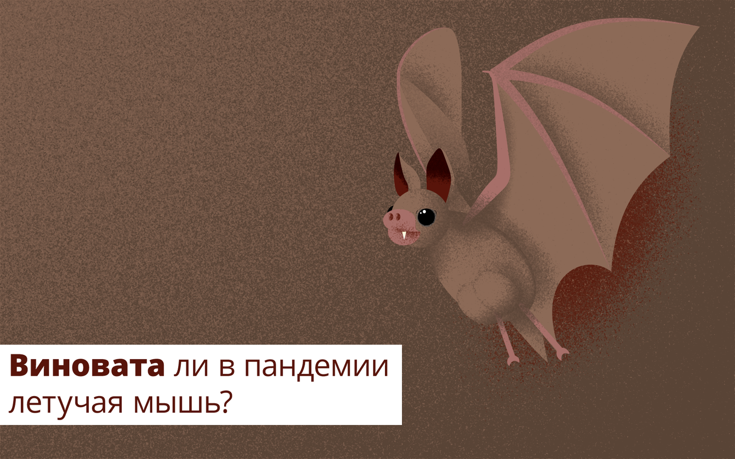 Виновата ли в пандемии летучая мышь?