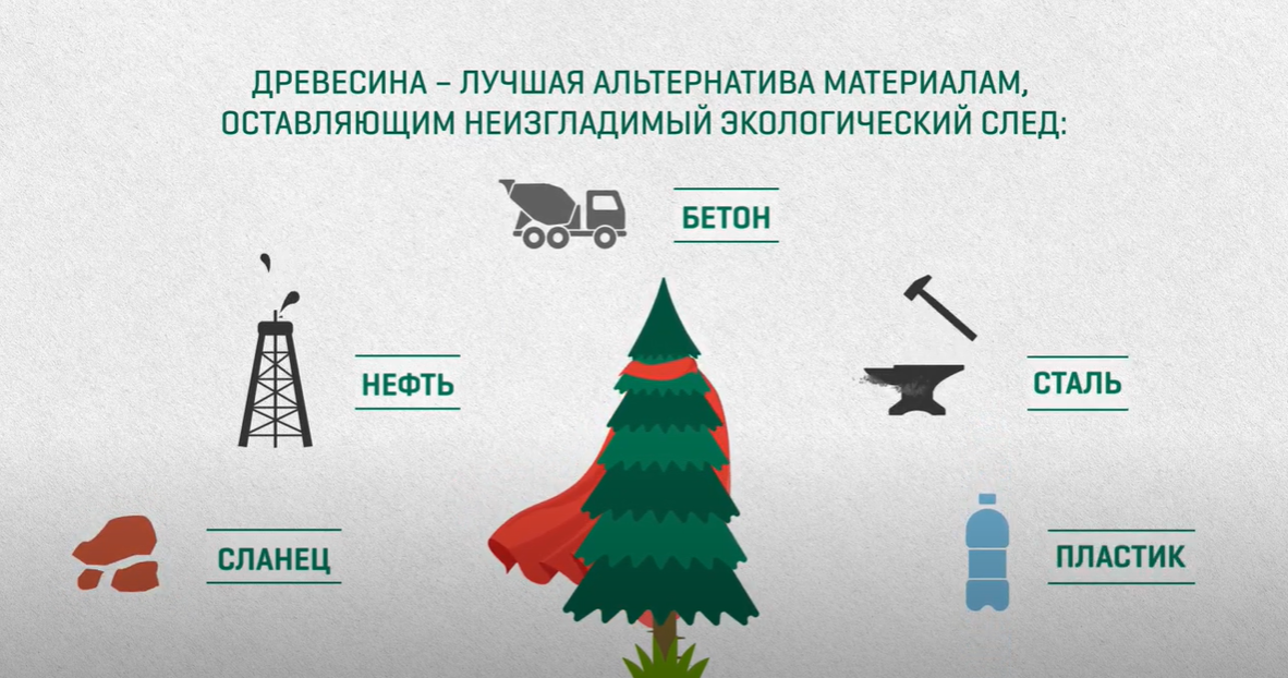 Древесина - лучшая альтернатива материалам, оставляющим экологический след.