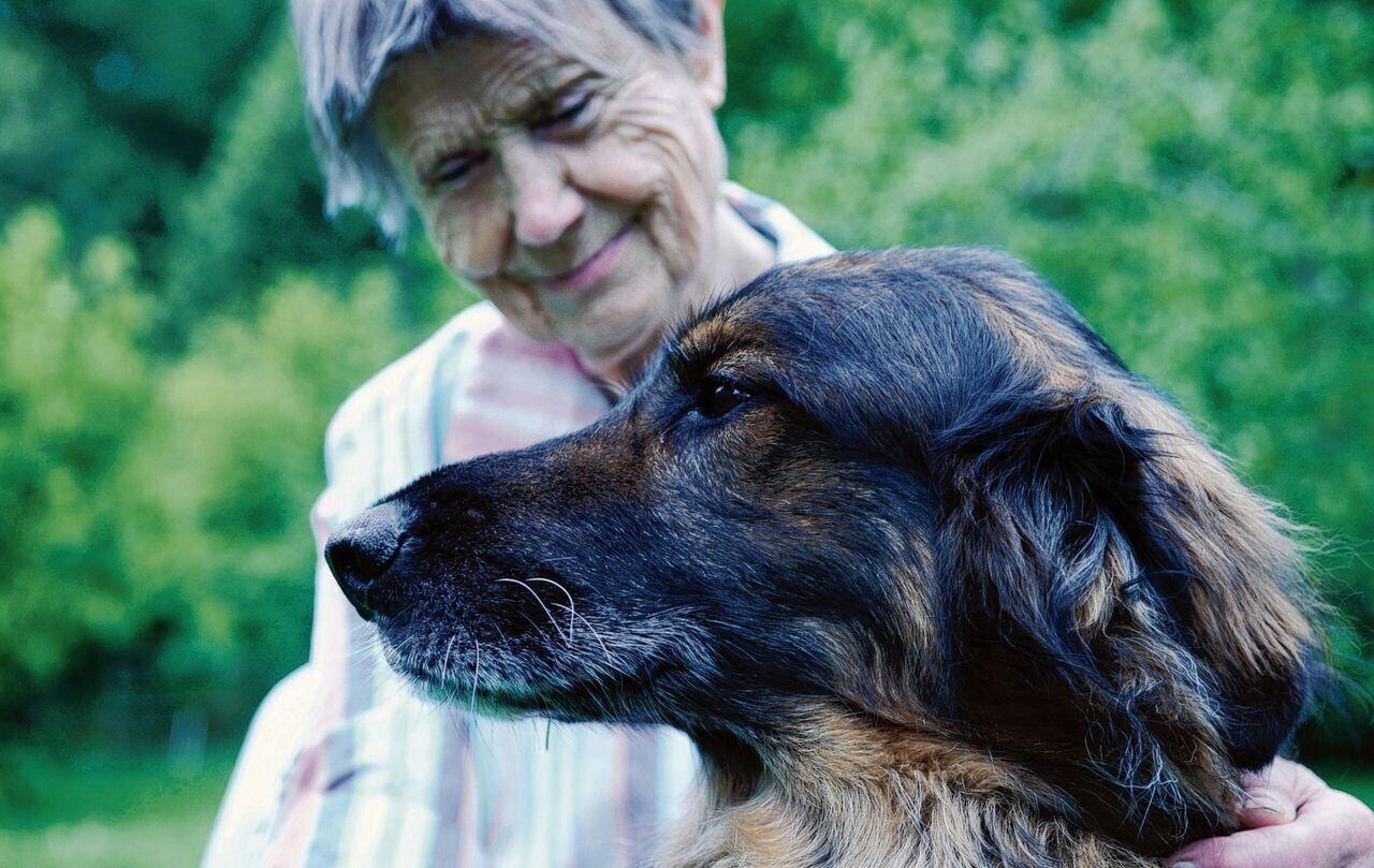 Sõbrake