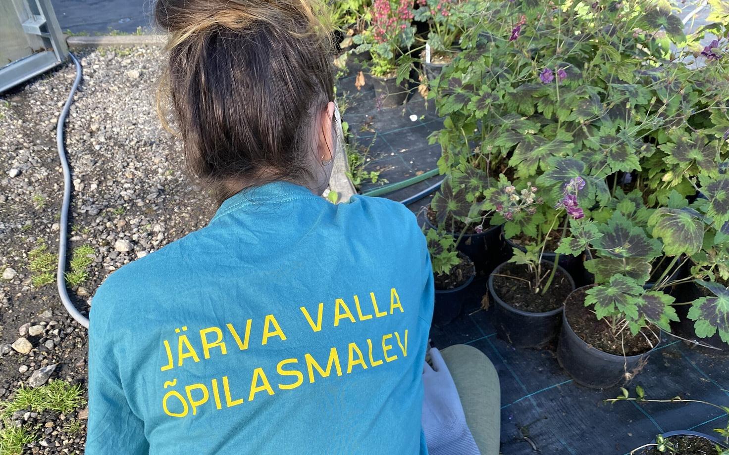 Imavere ja Kabala õpilasmalev 2020. aasta suvel