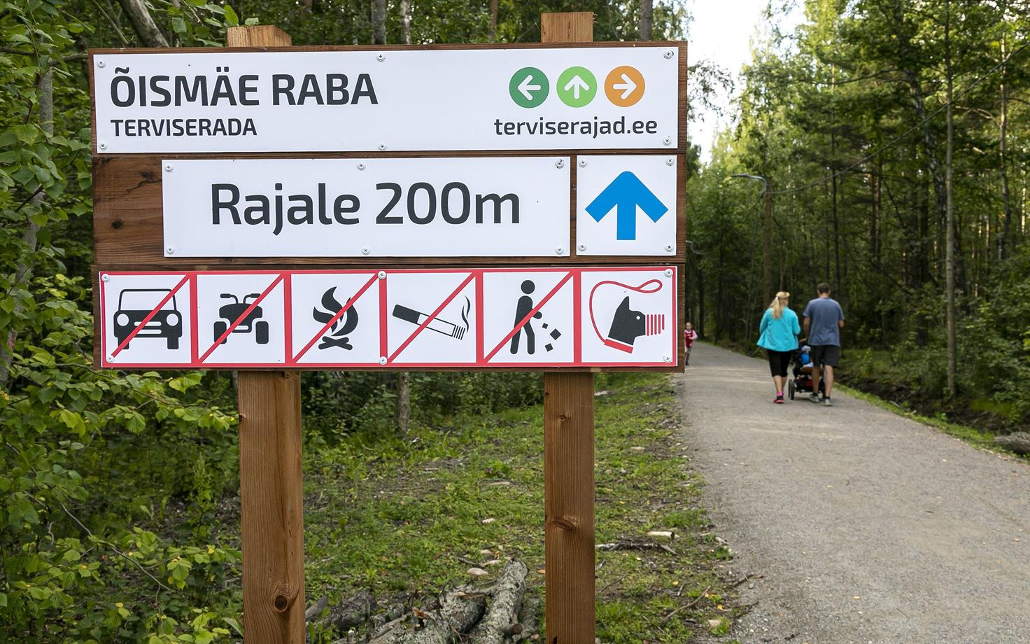Тропа здоровья на болоте Ыйсмяэ.