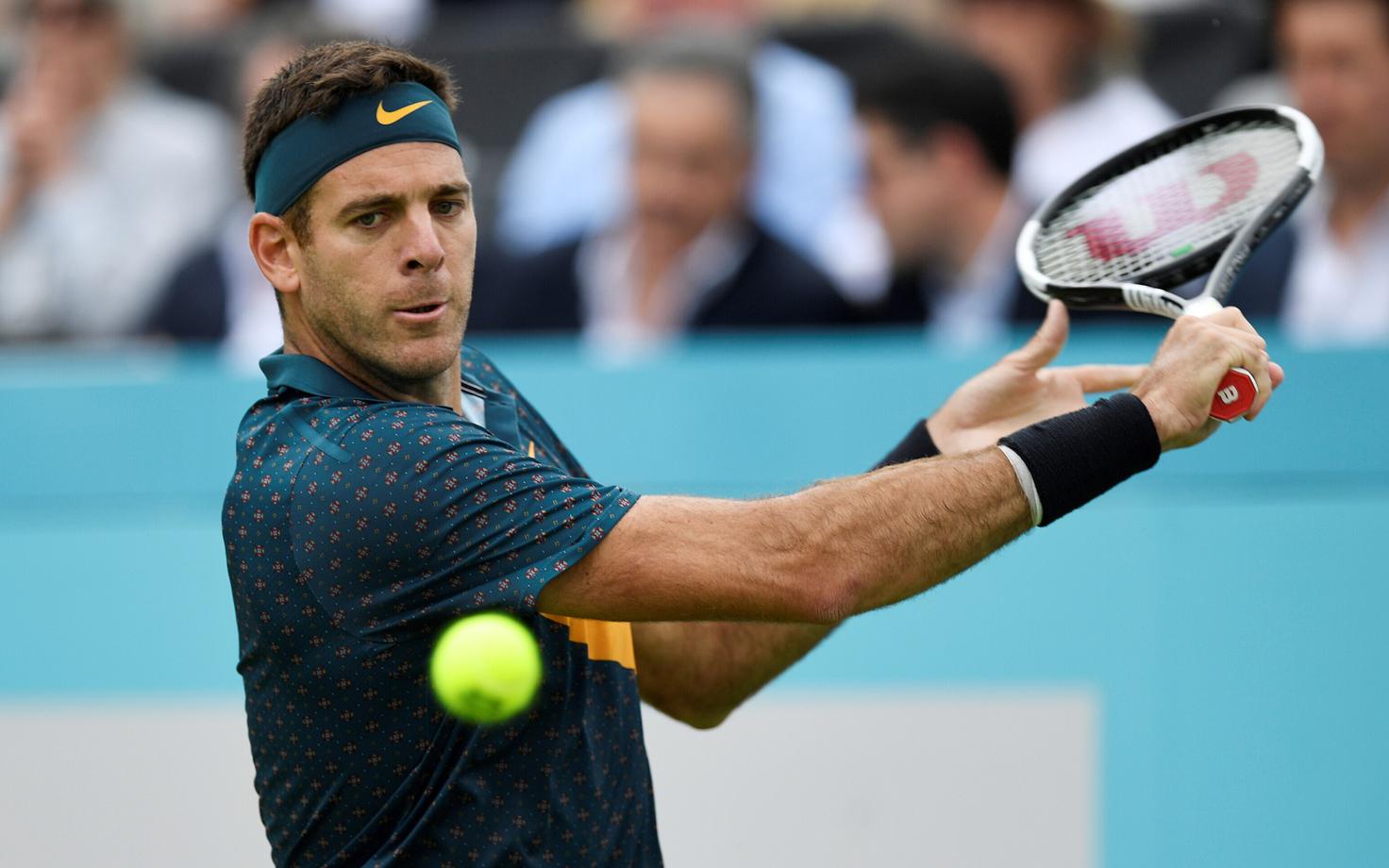 Juan Martin del Potro