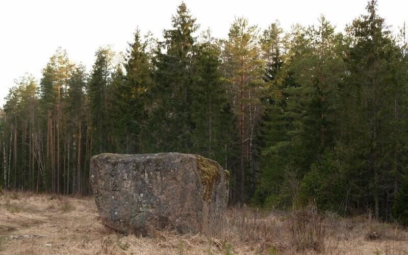Hiieotsa ohverdamiskoht nimetati kultuurimälestiseks