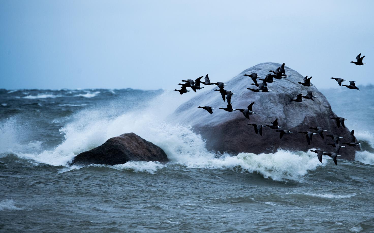 Stormy seas in Estonia.