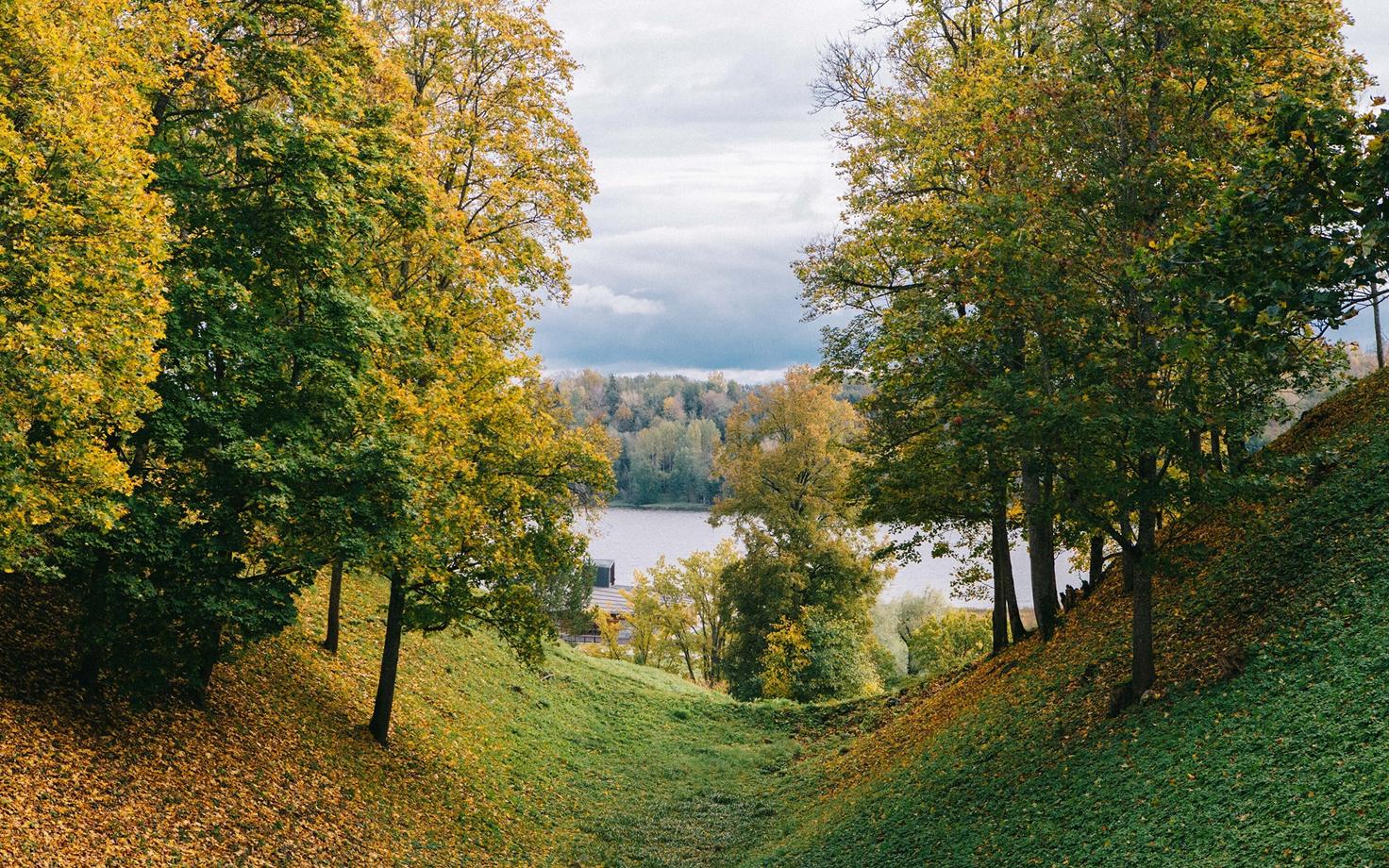 Иллюстративная фотография.