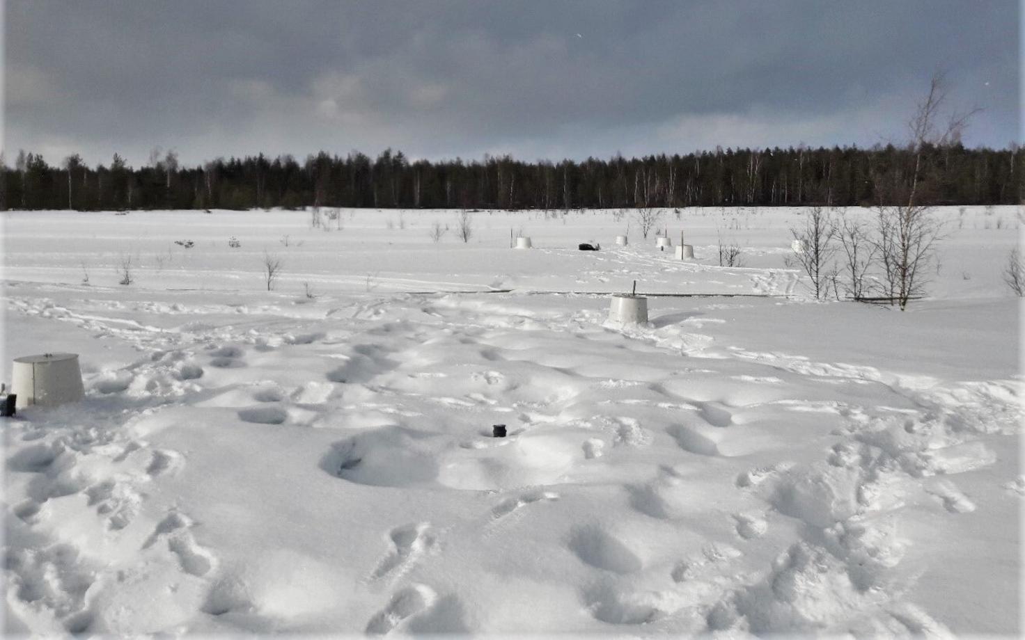 Välitööd Ess-soo uurimisalal, valged tagurpidi „ämbrid“ on gaaside kogumise kambrid.