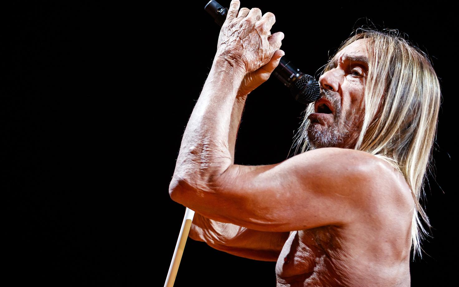 Iggy Pop.
