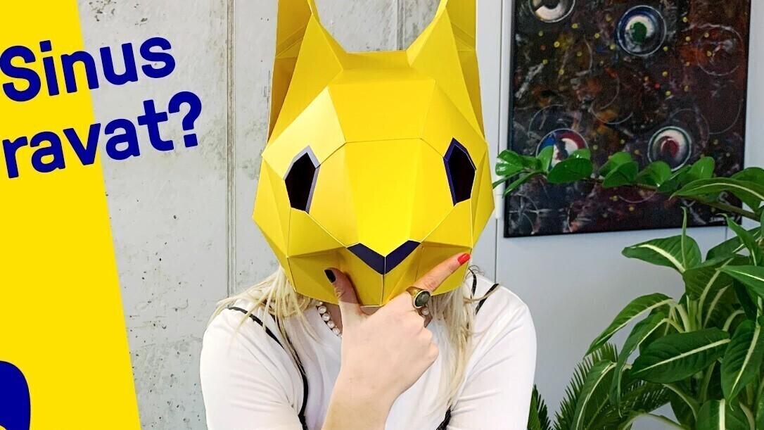 Reformierakonna kampaania.