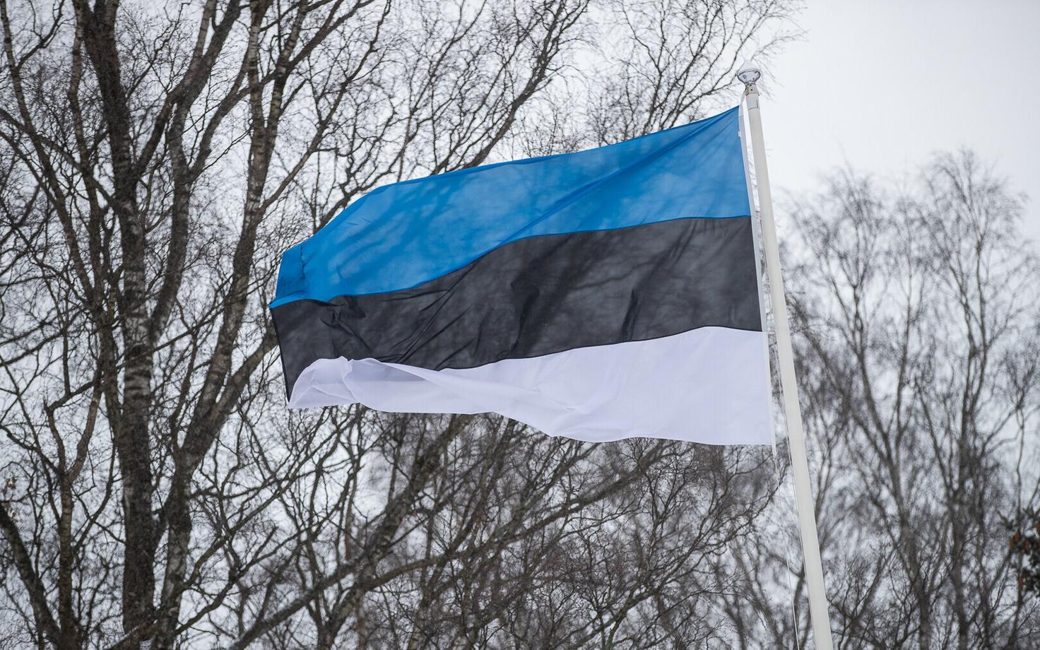 Для 68% жителей Эстонии родным языком является эстонский.