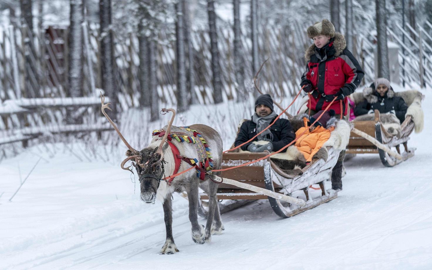 Turistid sõitmas saaniga Rovaniemis.
