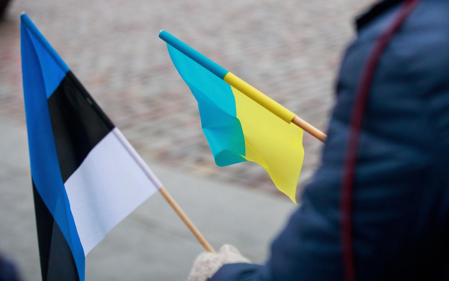 Флаги Эстонии и Украины.
