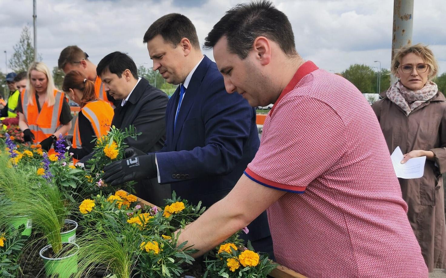 Jüri Ratas koos Mihhail Kõlvartiga Tallinna päeval lilli istutamas