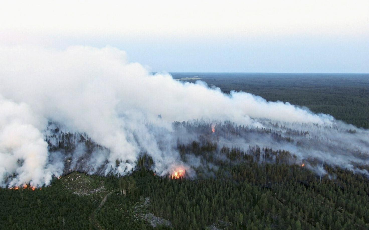 Soome metsapõleng.