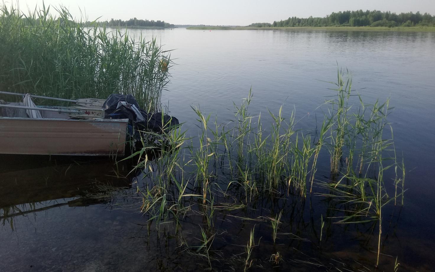 Uppumissurmade arv Eestis kasvab.