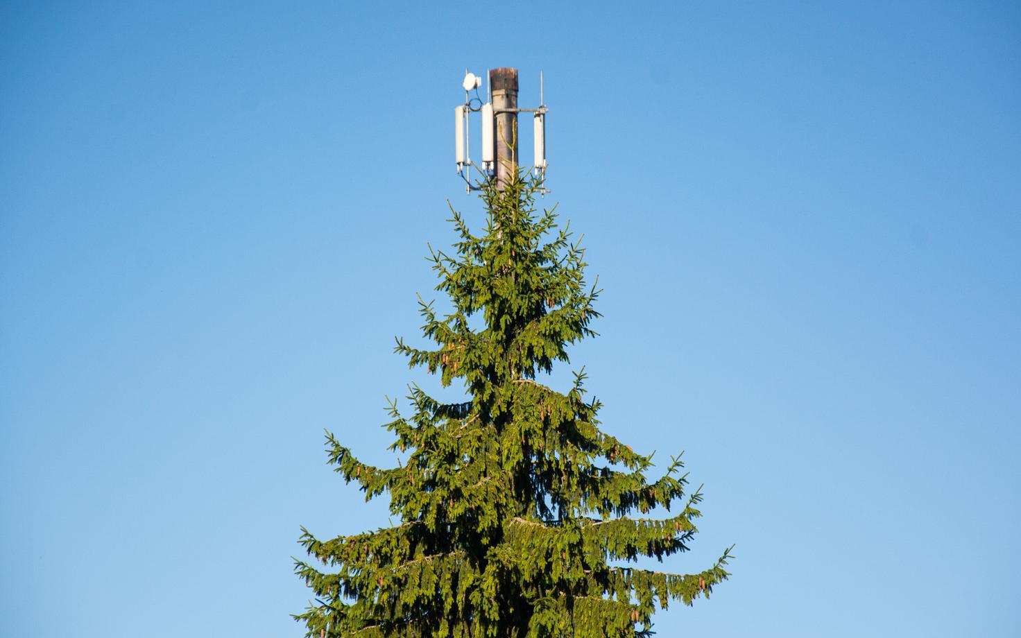 Mobiilimast