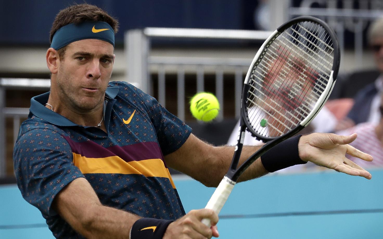 Juan Martin del Potro