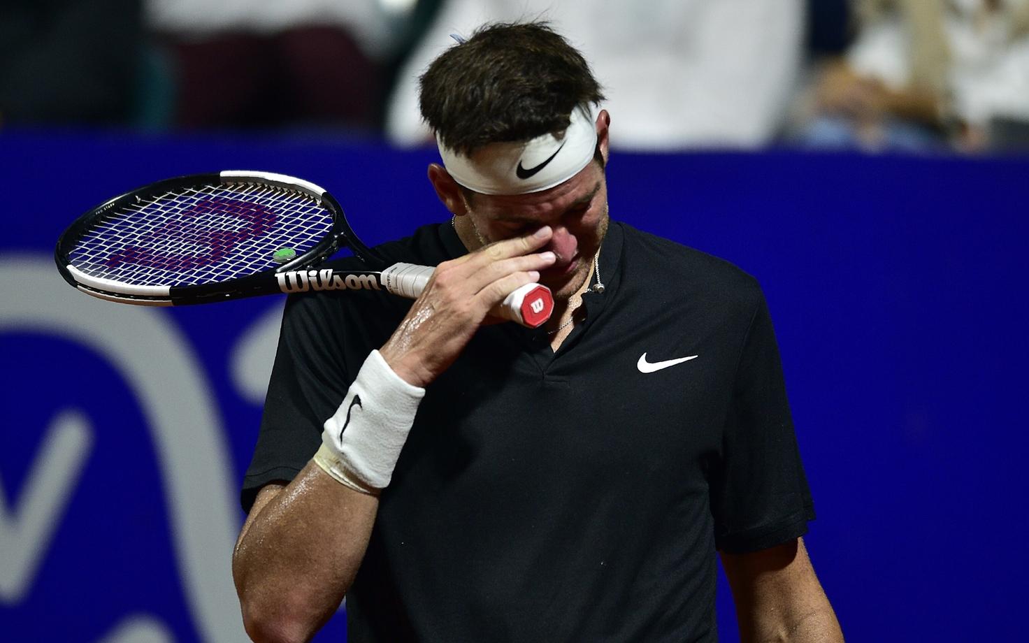 Juan Martin del Potro