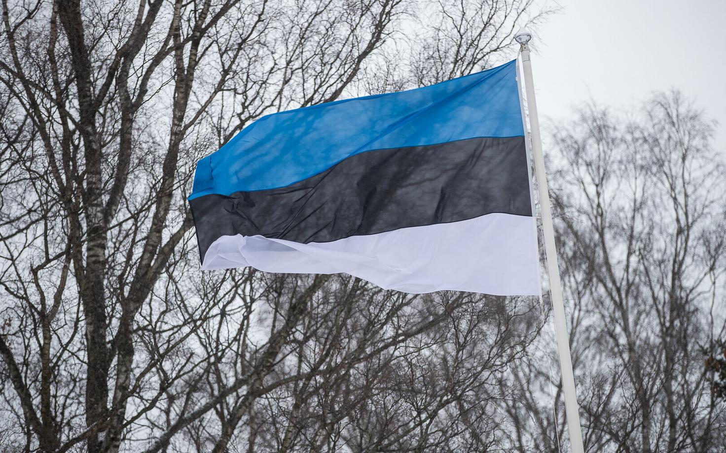 Флаг Эстонии.