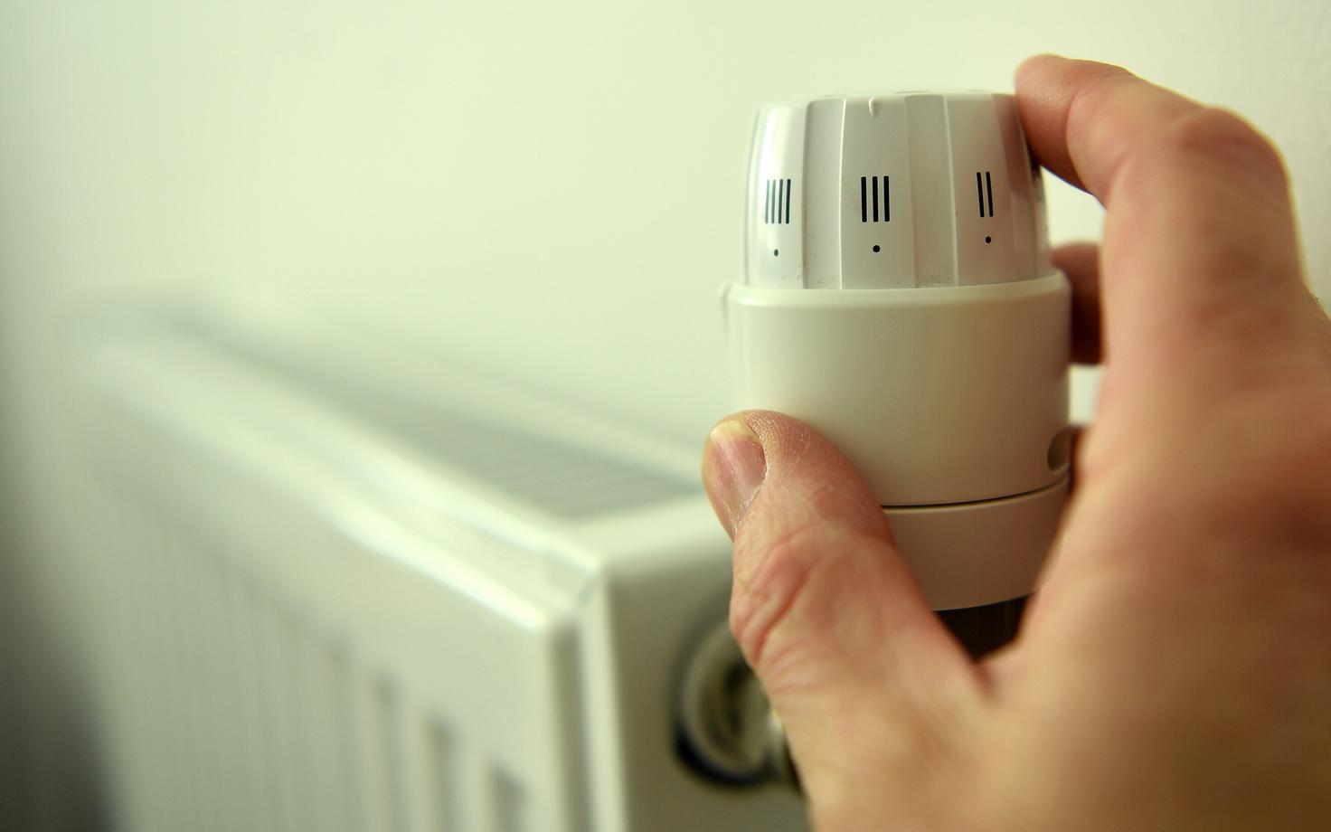 radiaator