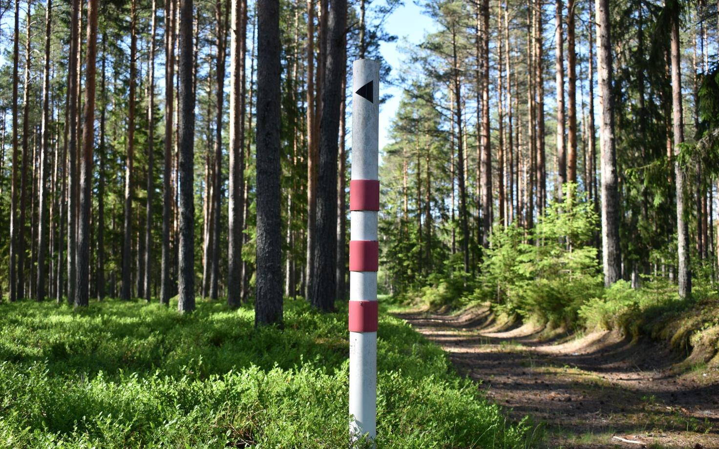 Бело-красный столб на полигоне.