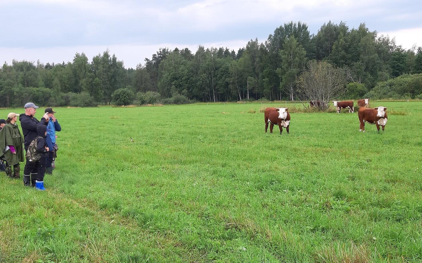 Прошедший в 2021 году в рамках Дня природы поход на луг Мустйыэ в Валгамаа.