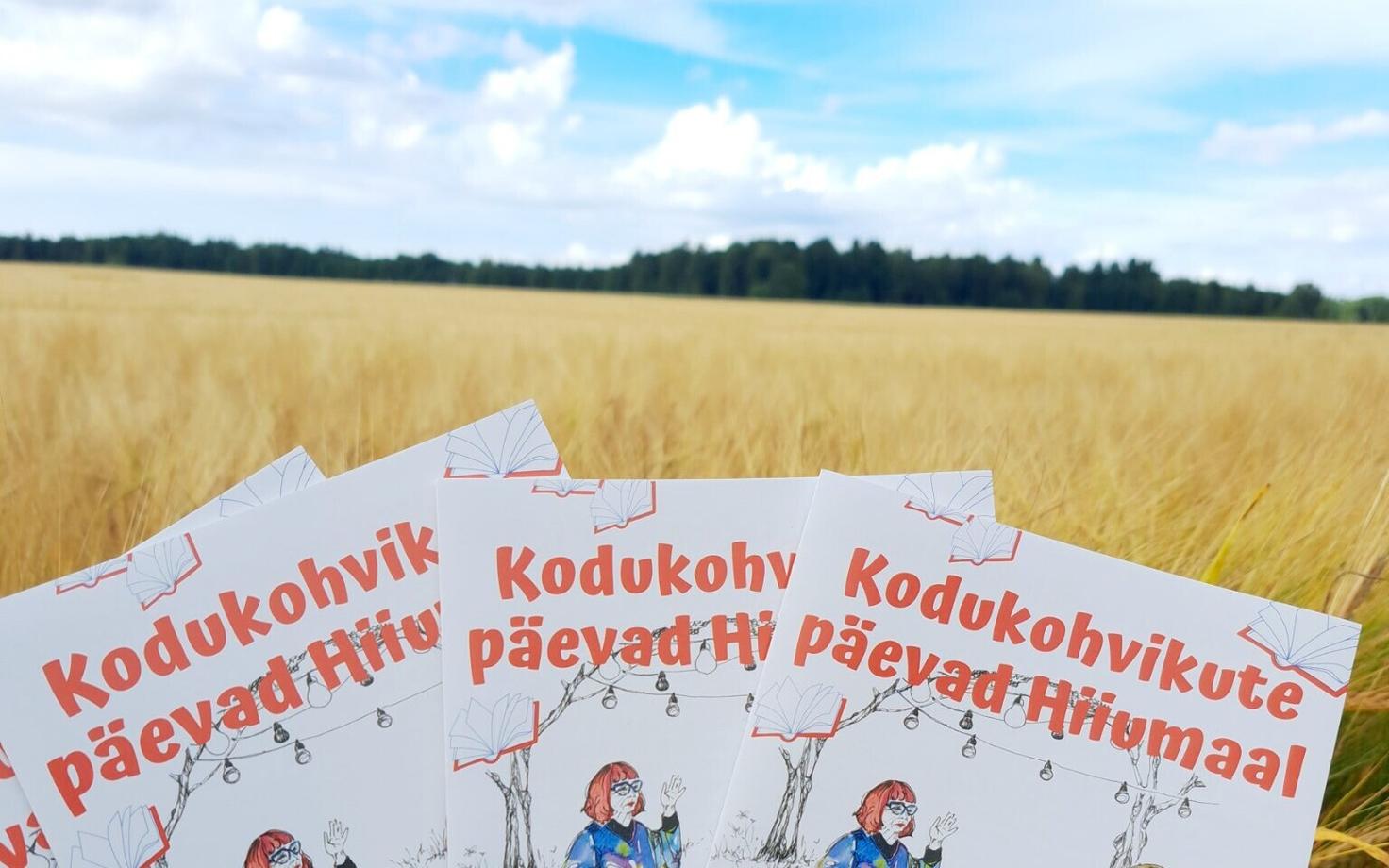 На Хийумаа начались Дни домашних кафе.
