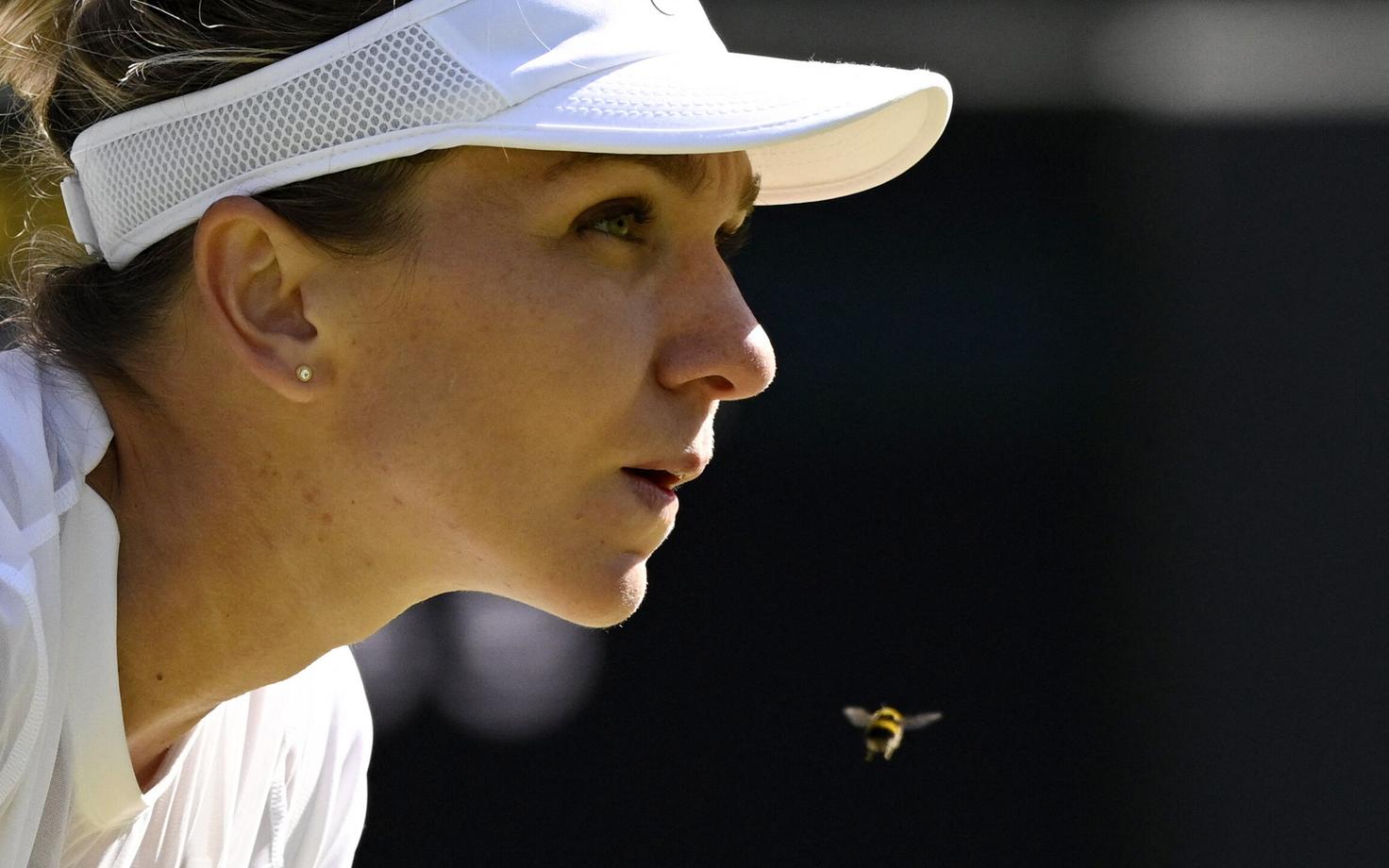 Simona Halep