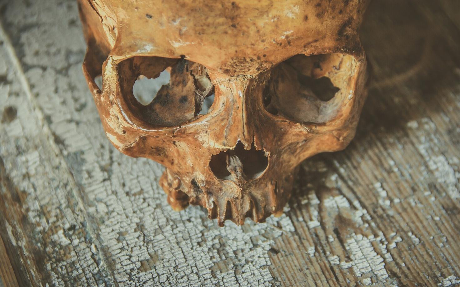 Череп. Иллюстративная фотография.
