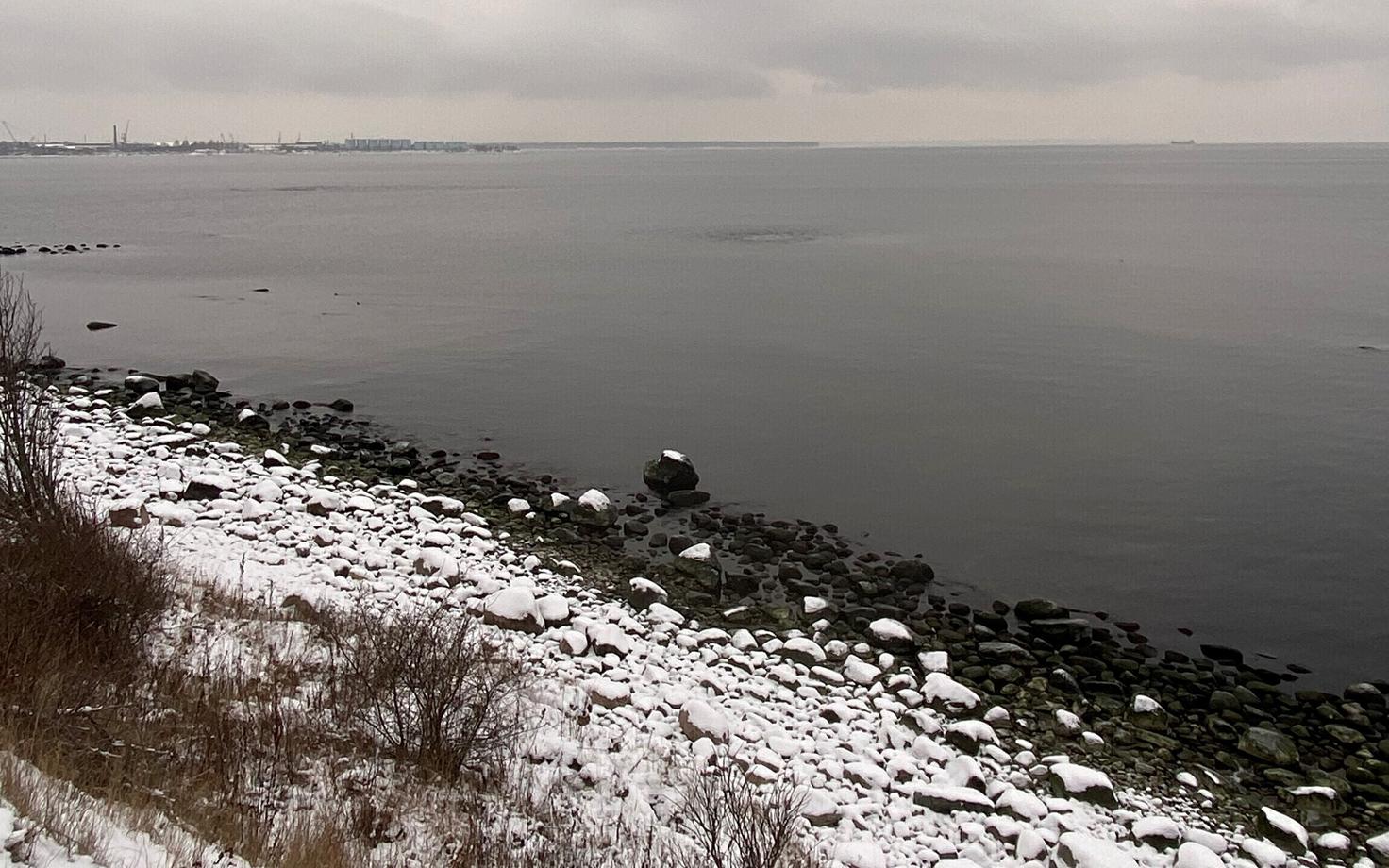 Спуск очищенной воды в море не запрещается.