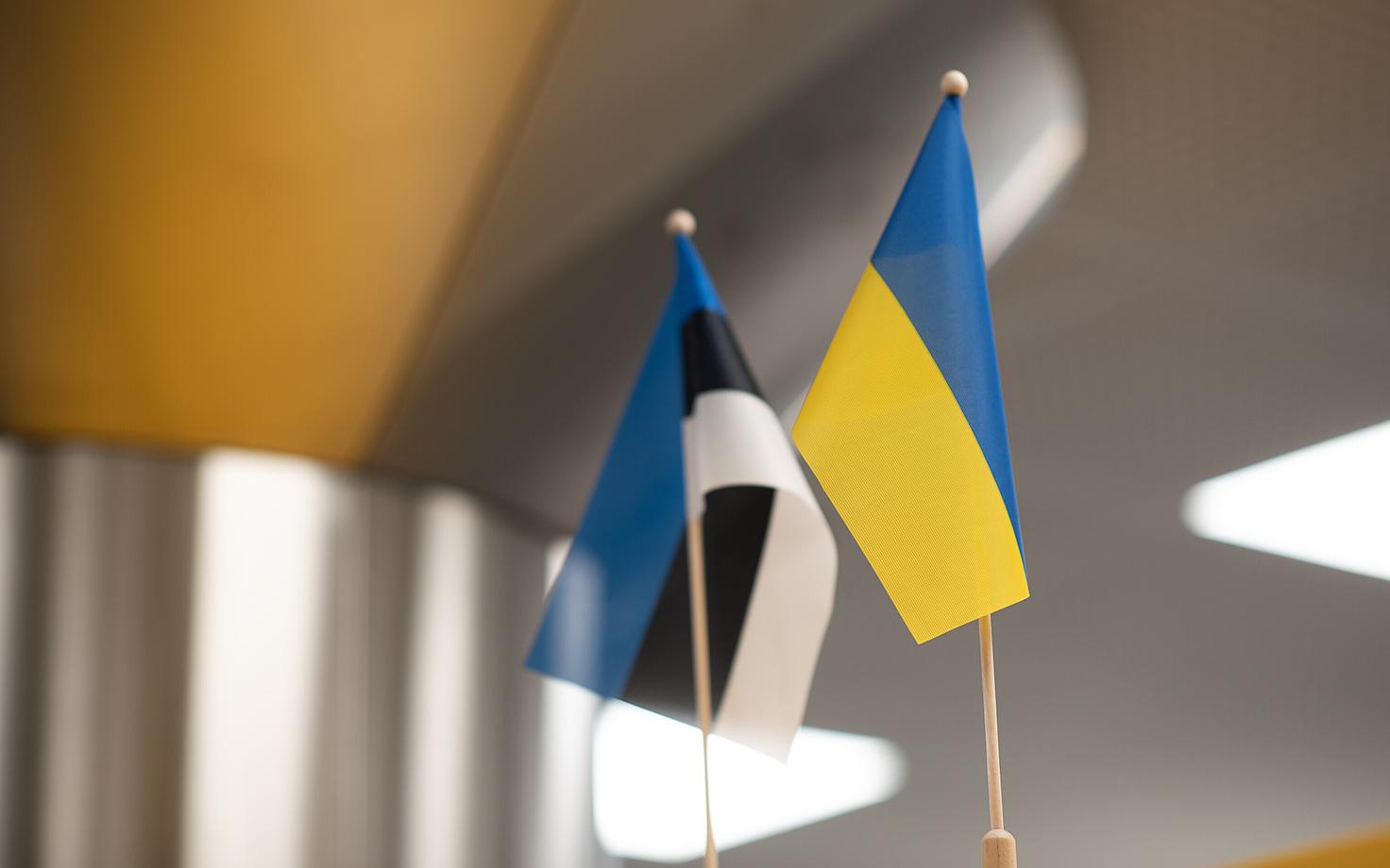 Флаги Эстонии и Украины.