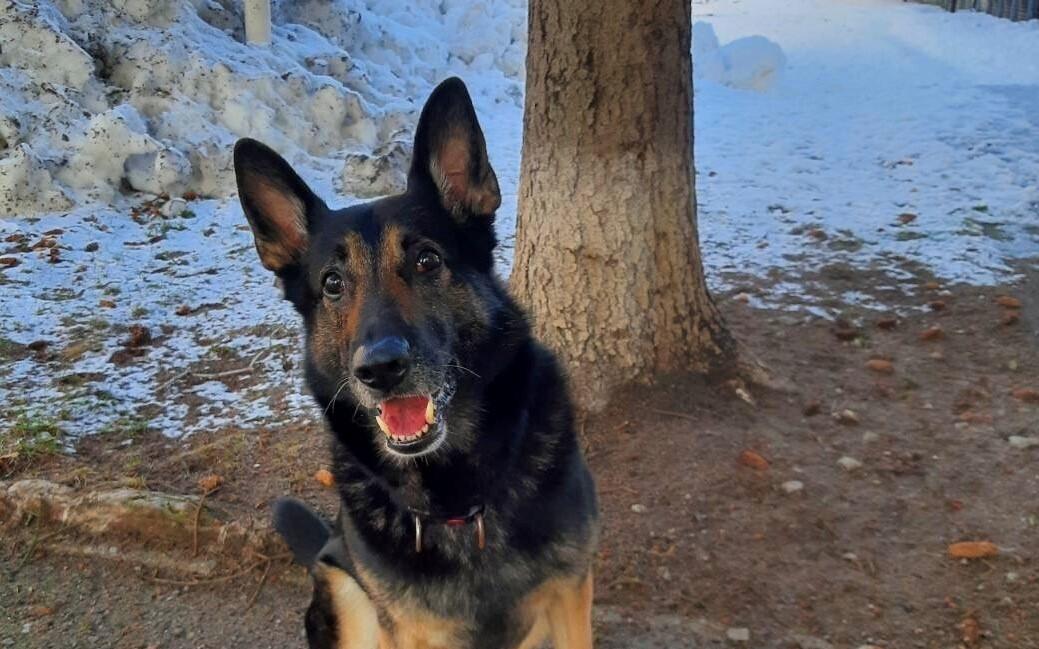 Торан.