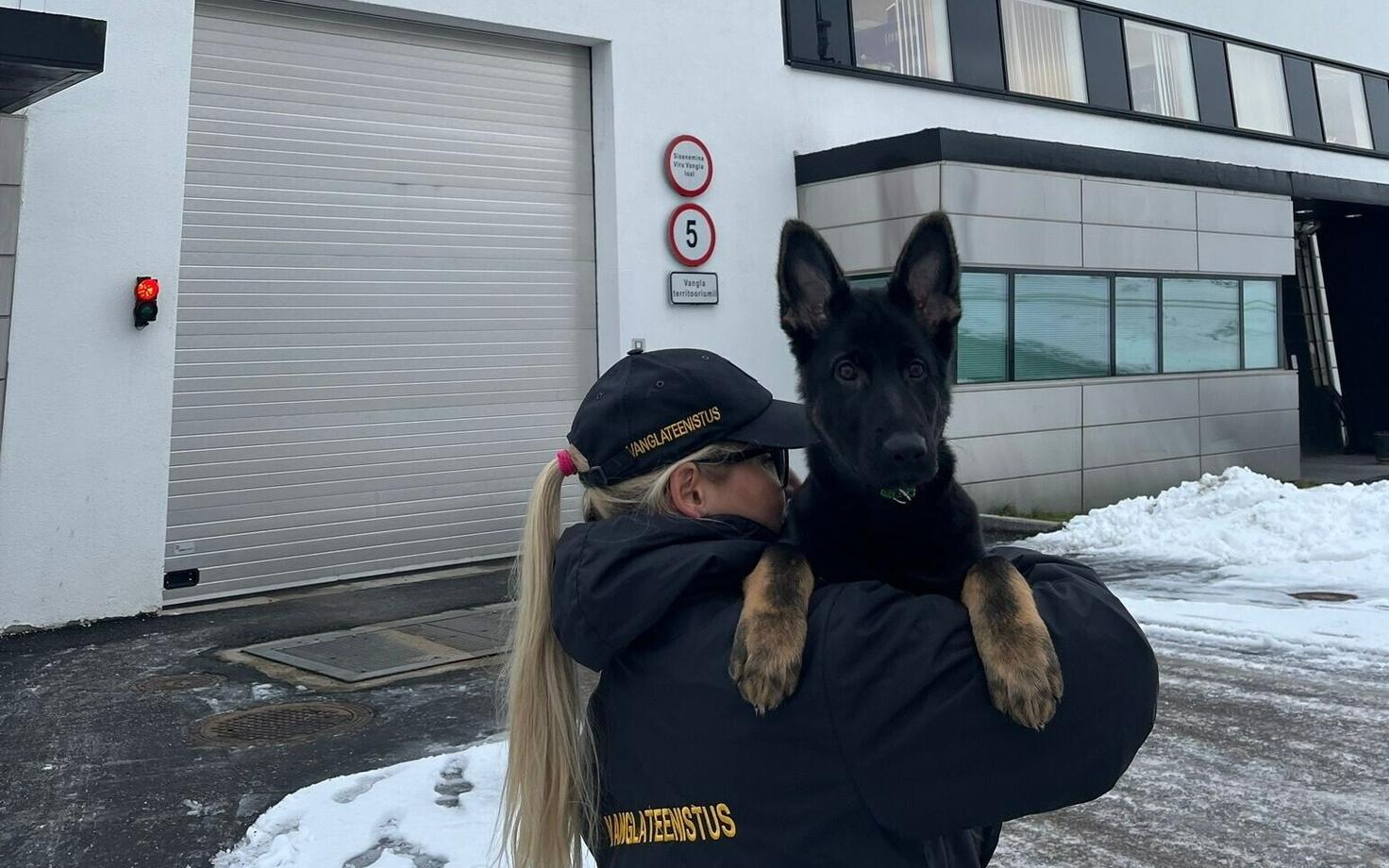 Эннор и его хозяйка.