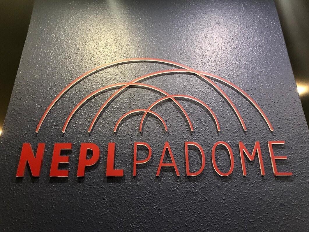 Латвийский национальный совет по СМИ NEPLP.