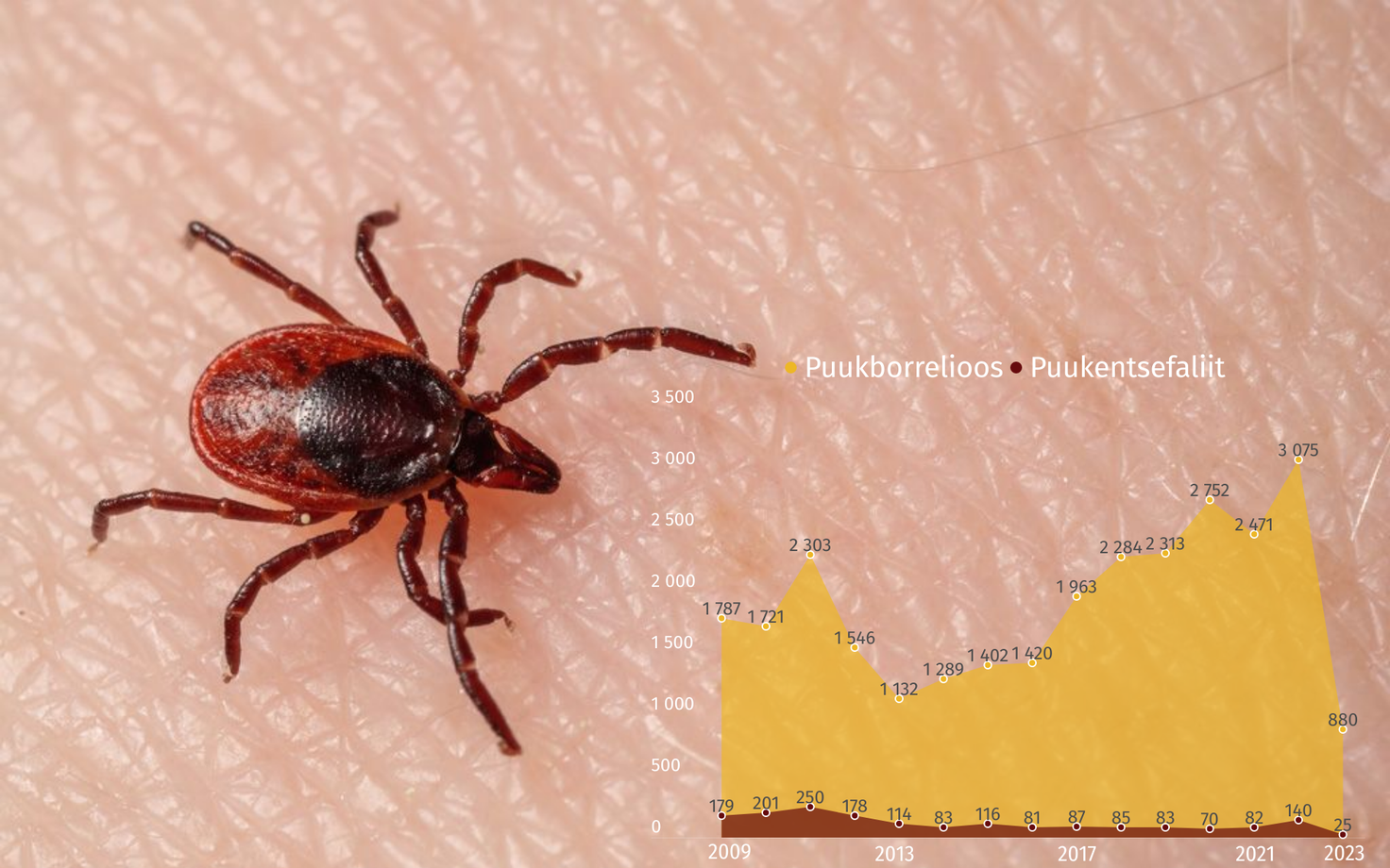 Kui 2022. aastal diagnoositi esimese kuue kuuga puukborrelioosi 464 korral, siis sel tänavu registreeriti juhtumeid sama ajaga 778.