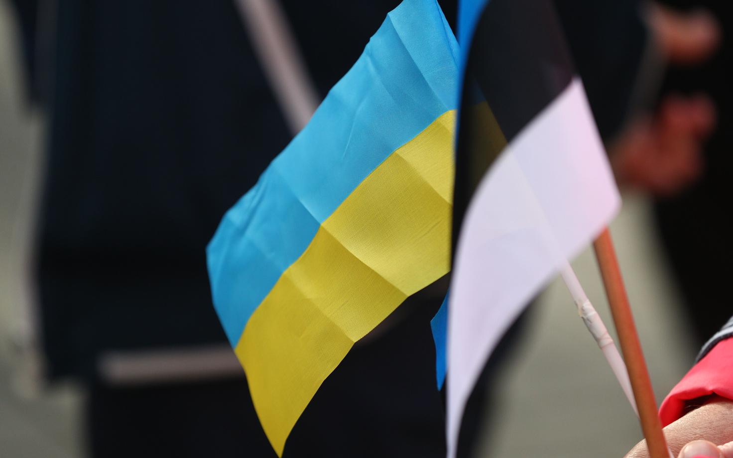 Флаги Украины и Эстонии.