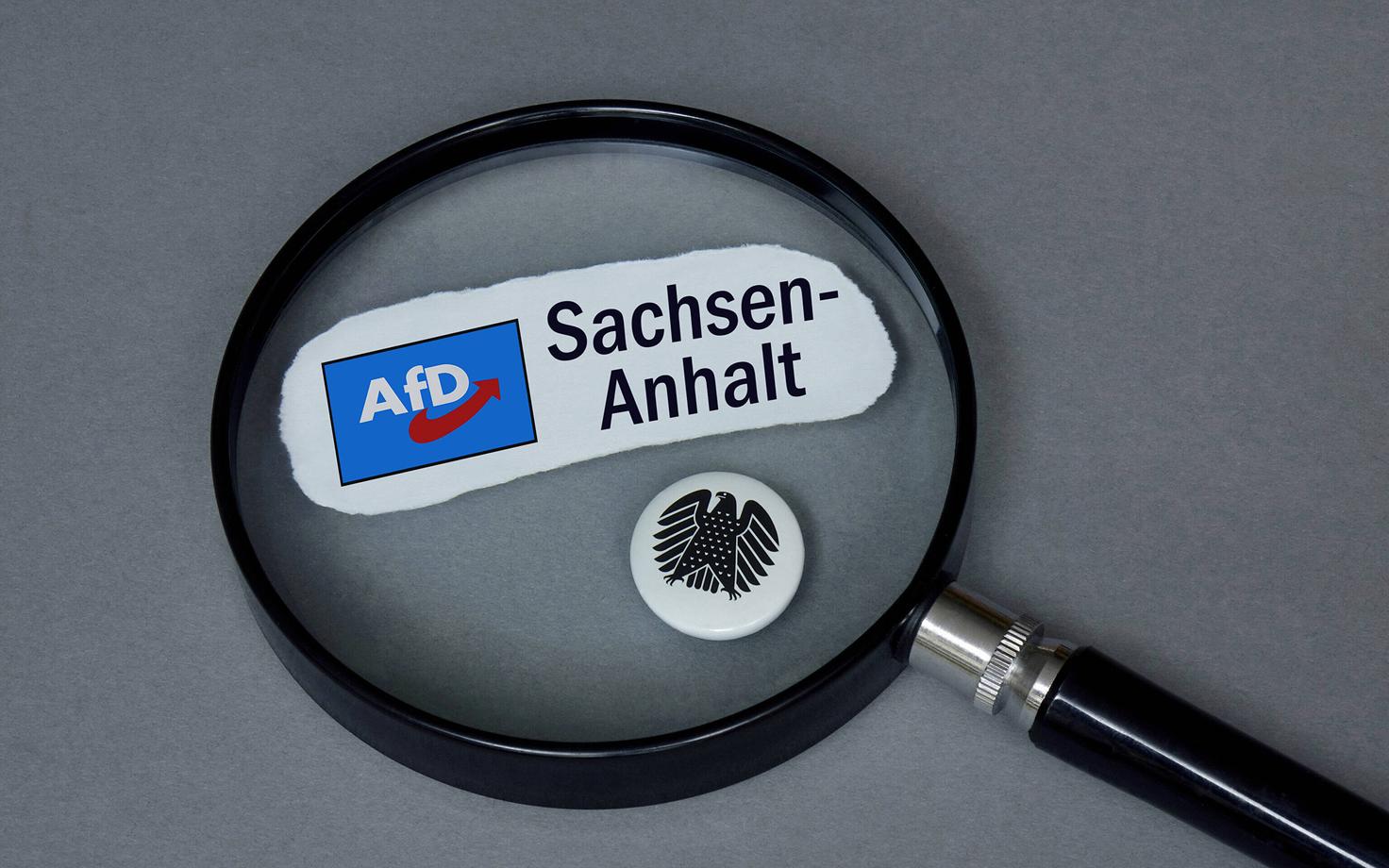 Saksa siseriiklik luureamet on võtnud luubi alla AfD tegevuse mitmel liidumaal.