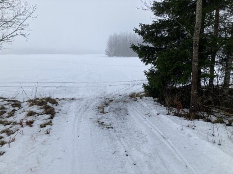 Olud Tamsalu-Neeruti suusamaratoni rajal