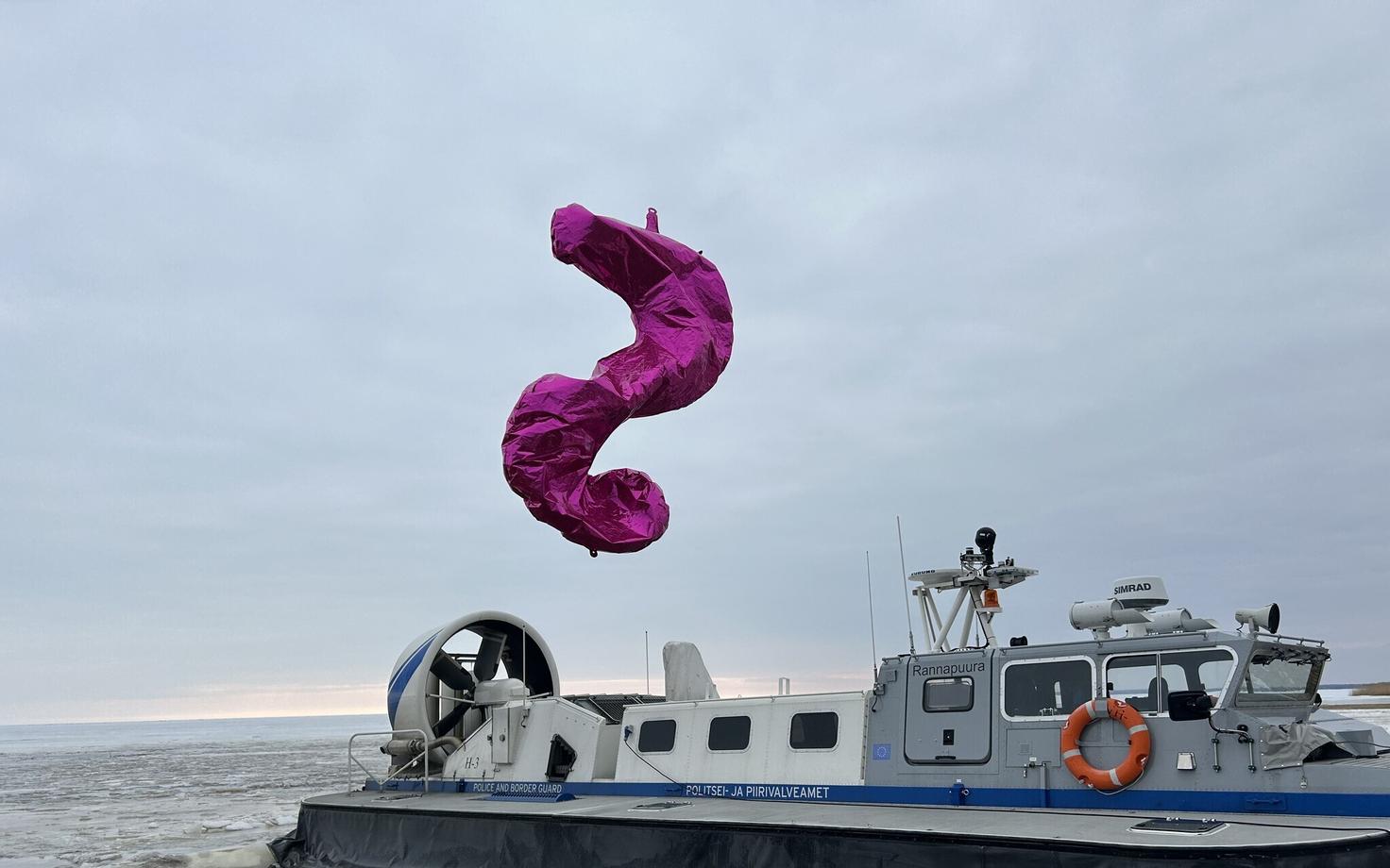Нарушителем оказался надувной розовый морской конек.