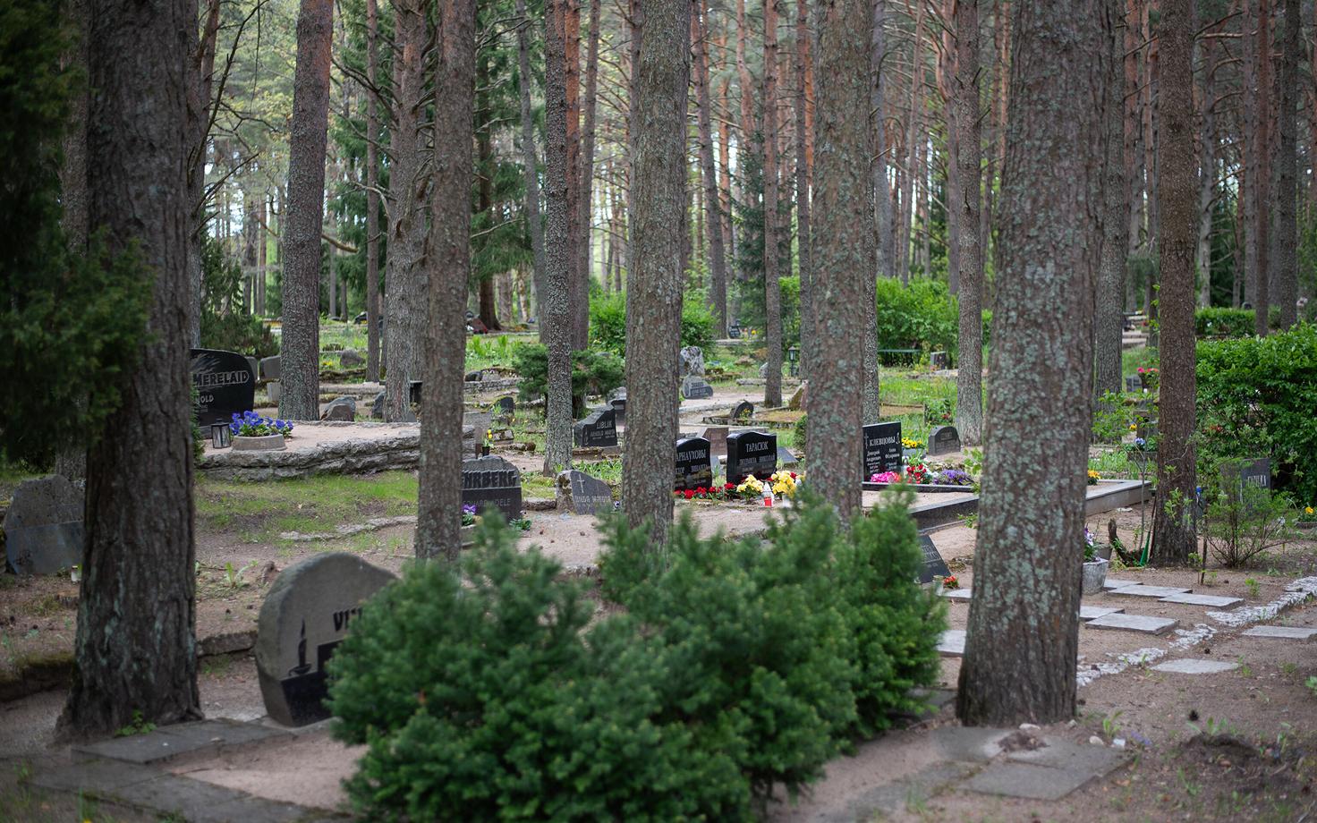 Pärnamäe kalmistu