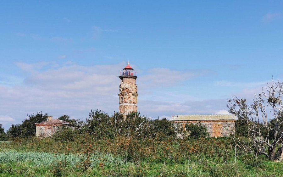 Sorgu tuletorn.
