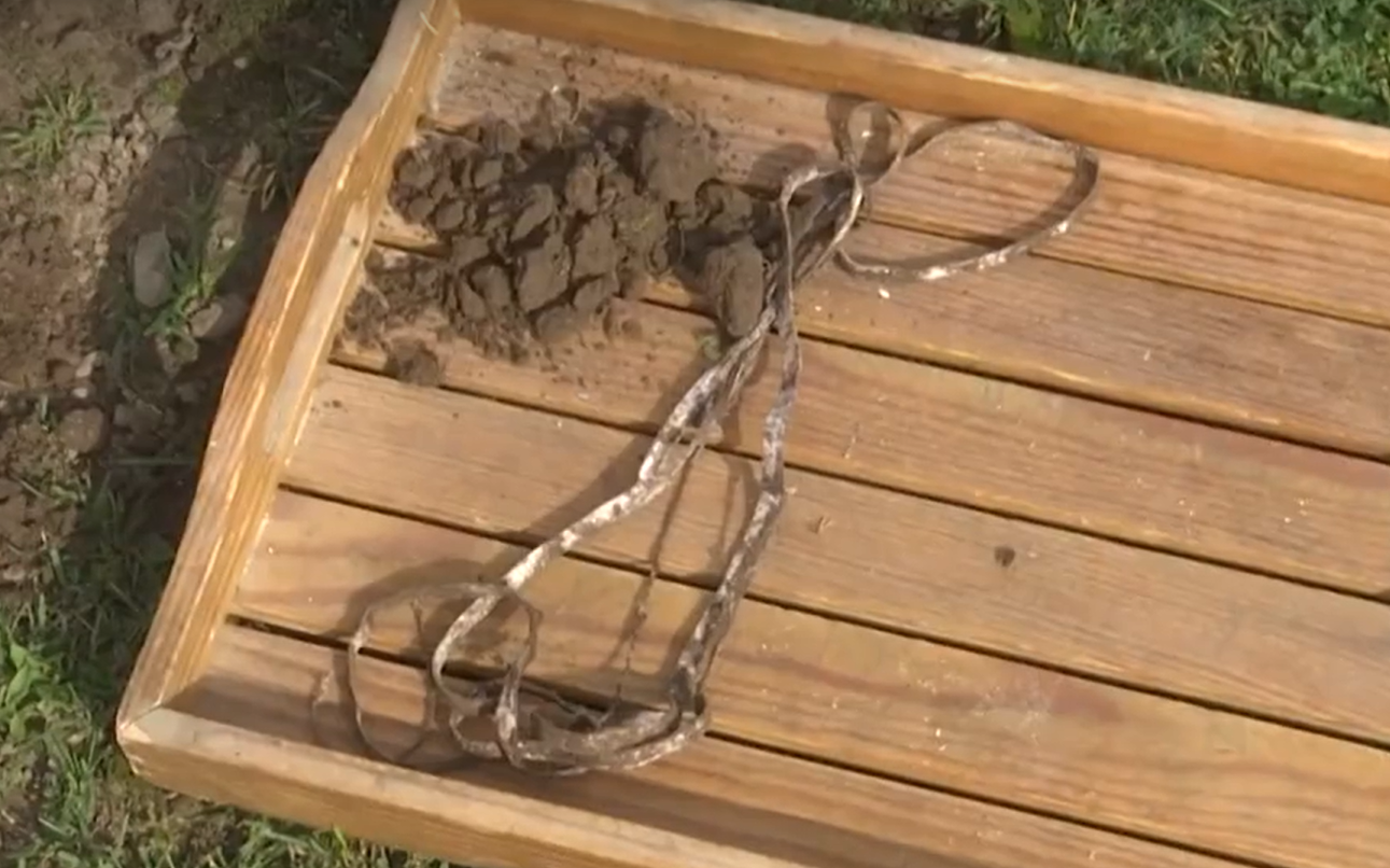After 12 weeks underground, all that remained of the undergarments was this elasticated waistband.