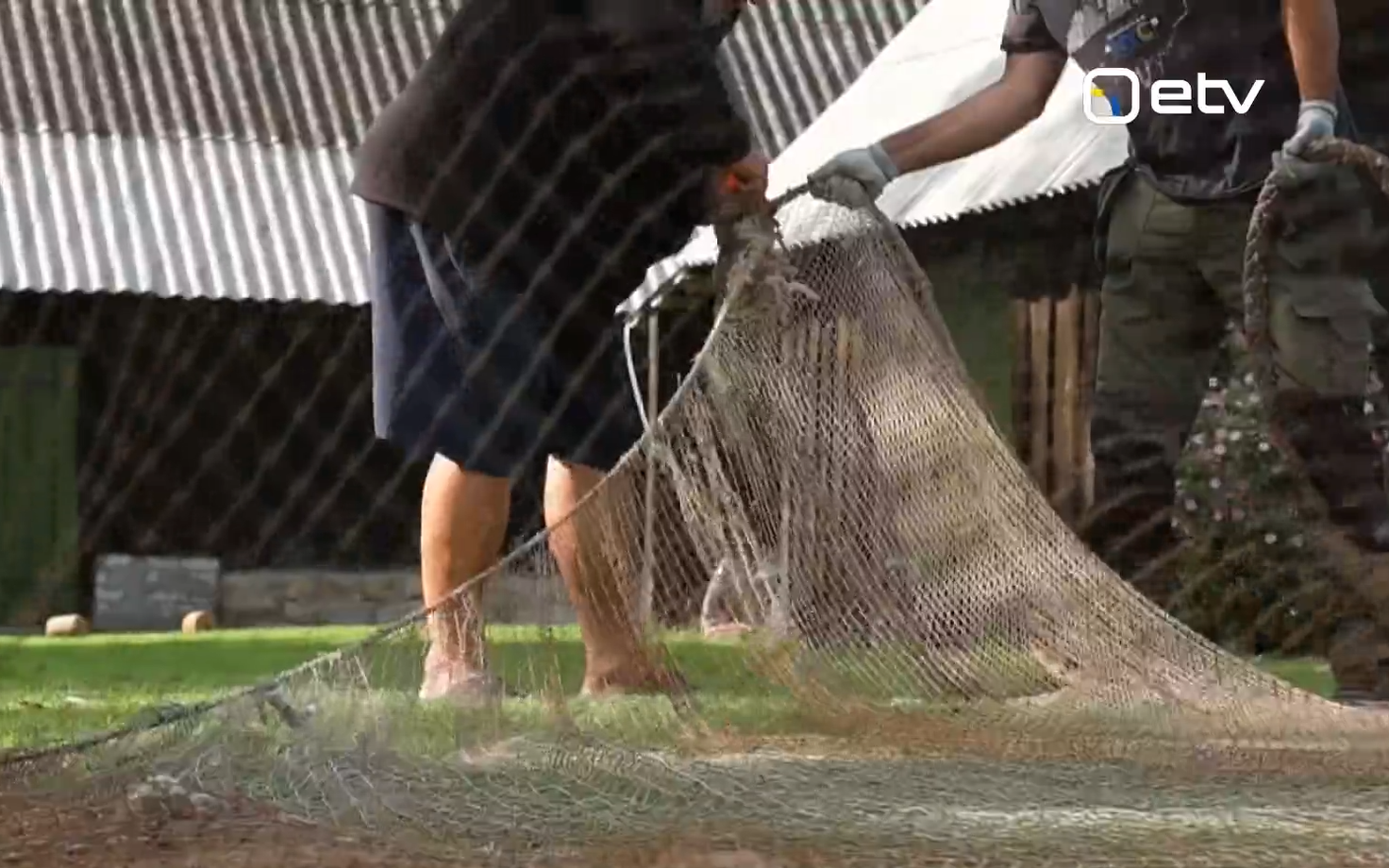 Old fishing nets from Saaremaa are being sent to Ukraine, where they'll be repurposed for drone defense. September 2026.
