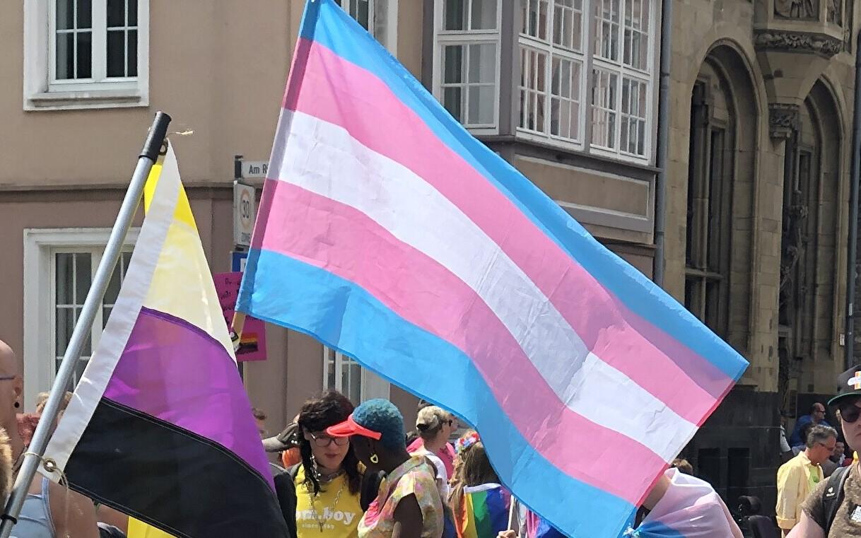 The transgender and non-binary pride flags (photo is illustrative).