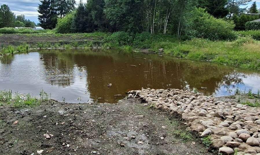 Украденные булыжники принадлежали городу Нарве и были частью общей системы безопасности.