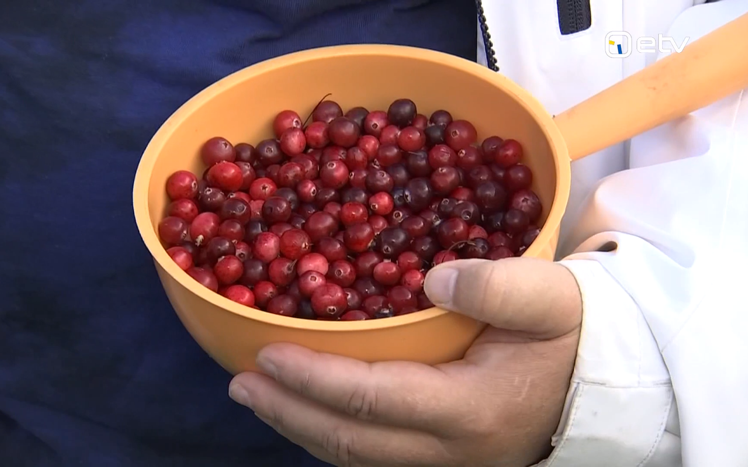 Cranberries.