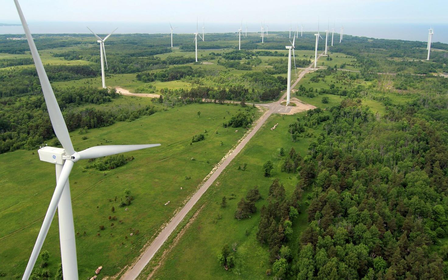 Wind turbines in Estonia. Energy output rose 56.9% in August, driven by wind and solar.