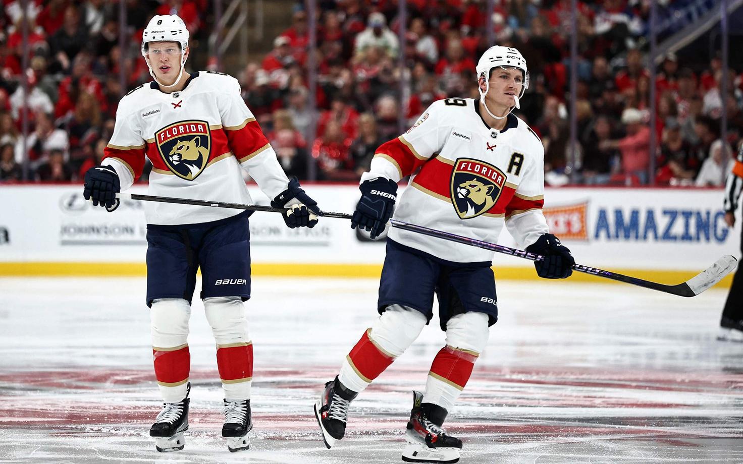 Matthew ja Brady Tkachuk.