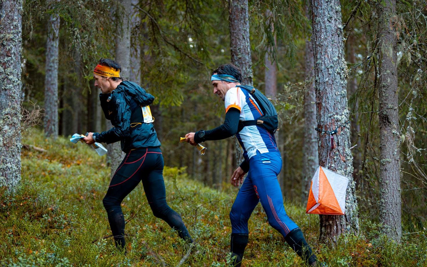 Lauri ja Timmo Tammemäe