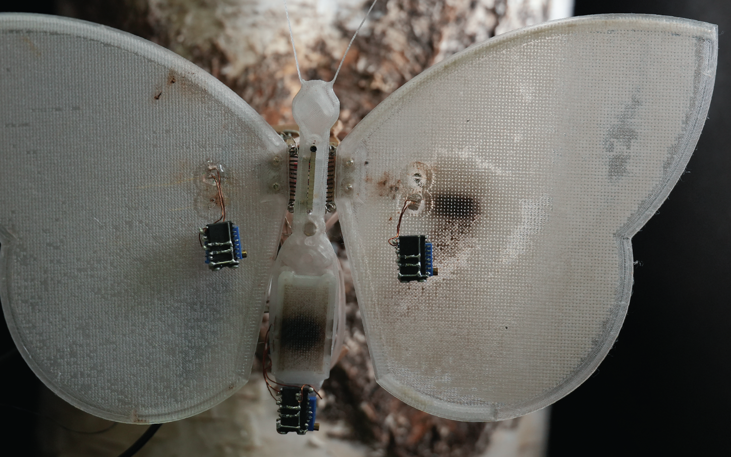 Eesti teadlaste loodud robotliblikas.